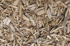 biomass boilers Conisholme